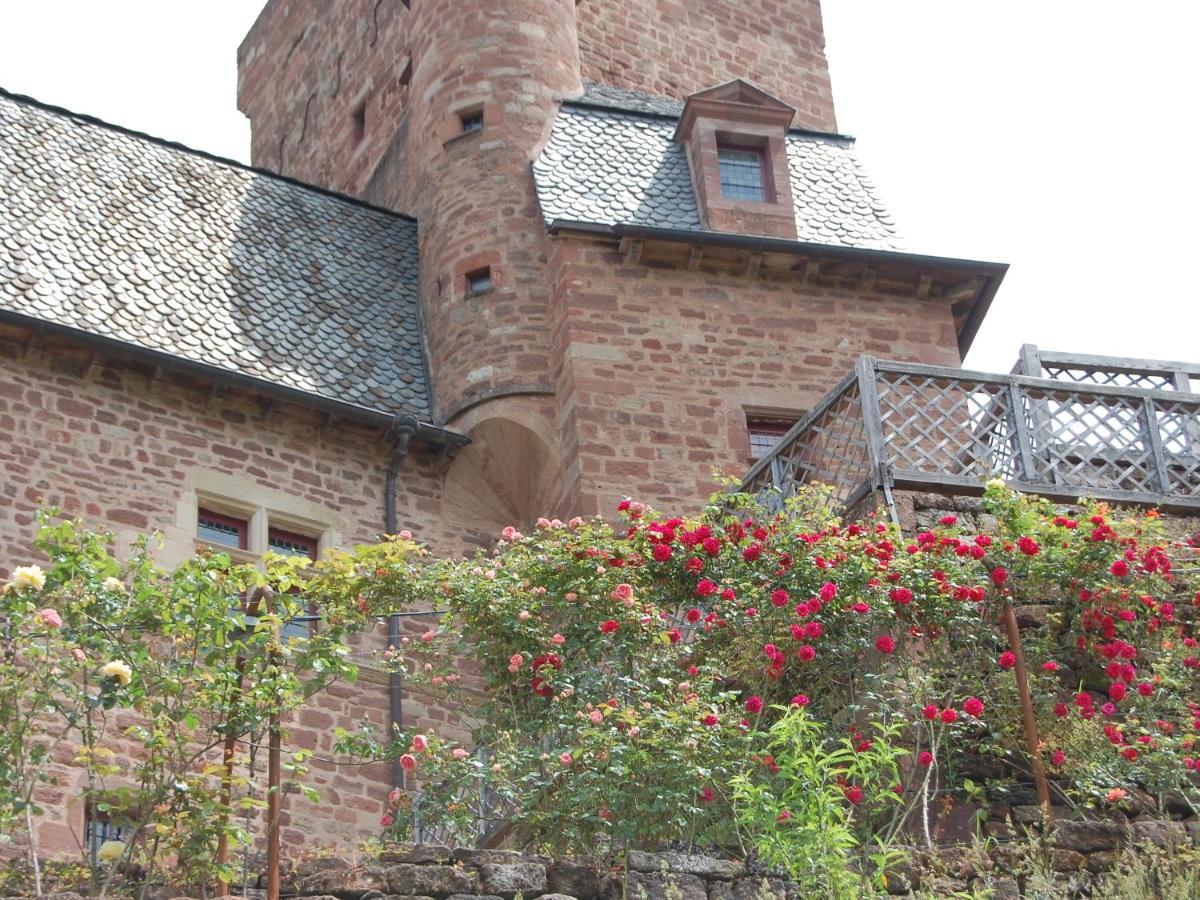 Chateau La Servayrie - Chambre D'Hotes Marcillac-Vallon Luaran gambar